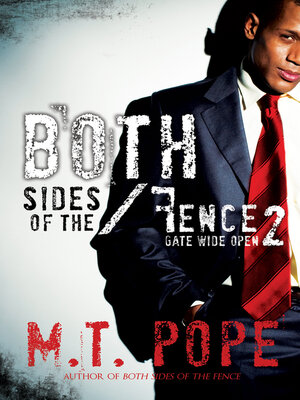 Both Sides of the Fence 2 - ebook